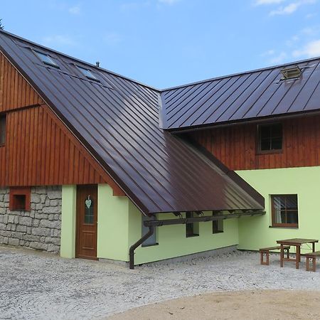 Apartments Skiareal U Vodarny Bedrichov Янов-над-Нисоу Экстерьер фото
